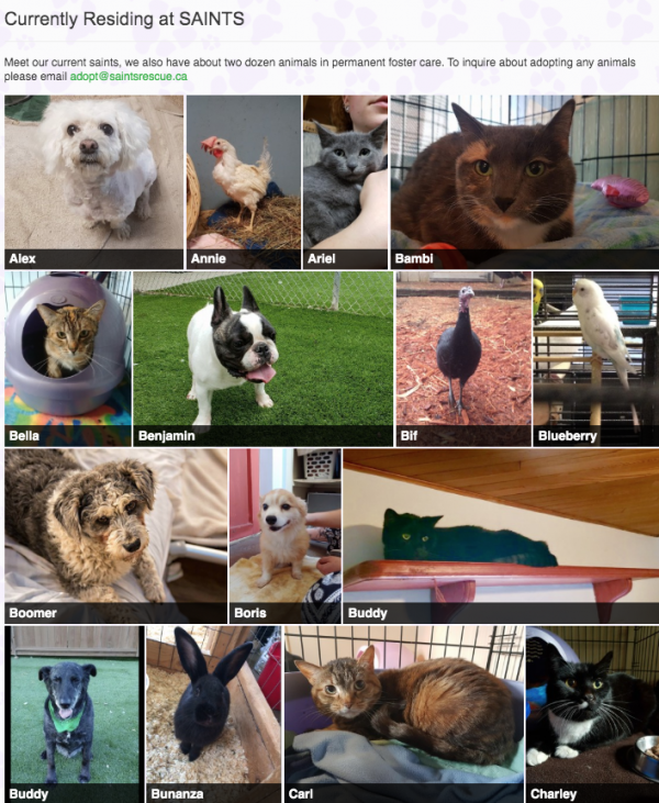 How to make your #GivingTuesday stories pay off